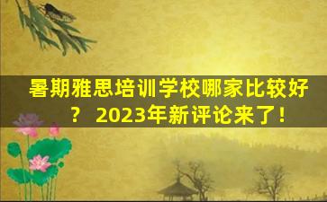 暑期雅思培训学校哪家比较好？ 2023年新评论来了！